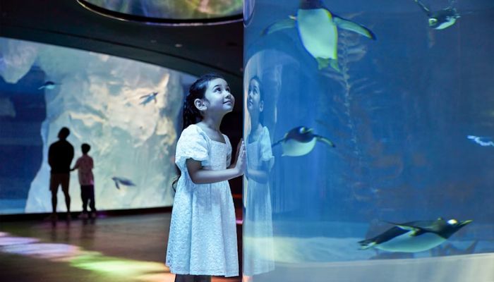 How to Get Bird Paradise Singapore Tickets at the Best Price