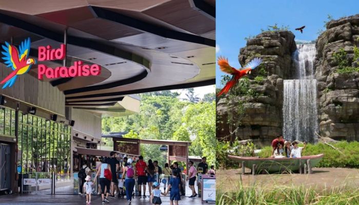 Bird Paradise Singapore Asias Largest Bird Park