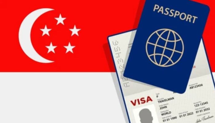 Understanding the Singapore Tourist Visa
