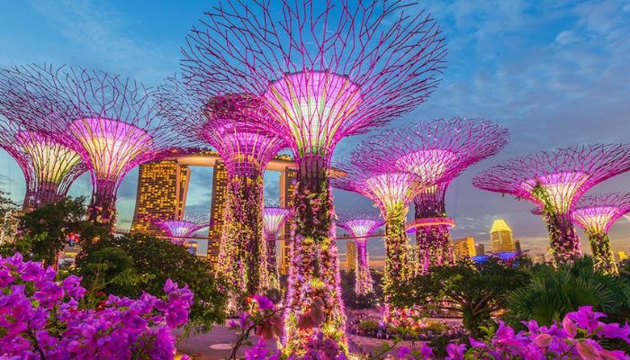 Exact Details for the Gardens by the Bay Light Show Opening Hours