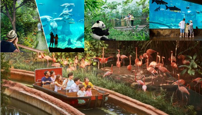 Getting Around Singapore River Wonders