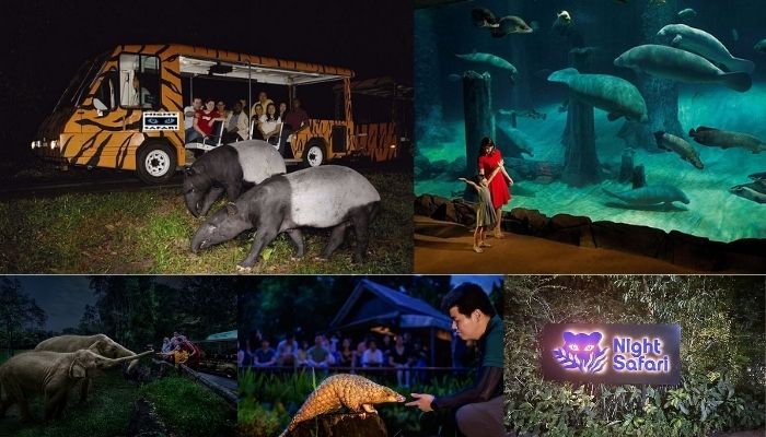 River Wonders Singapore to Night Safari